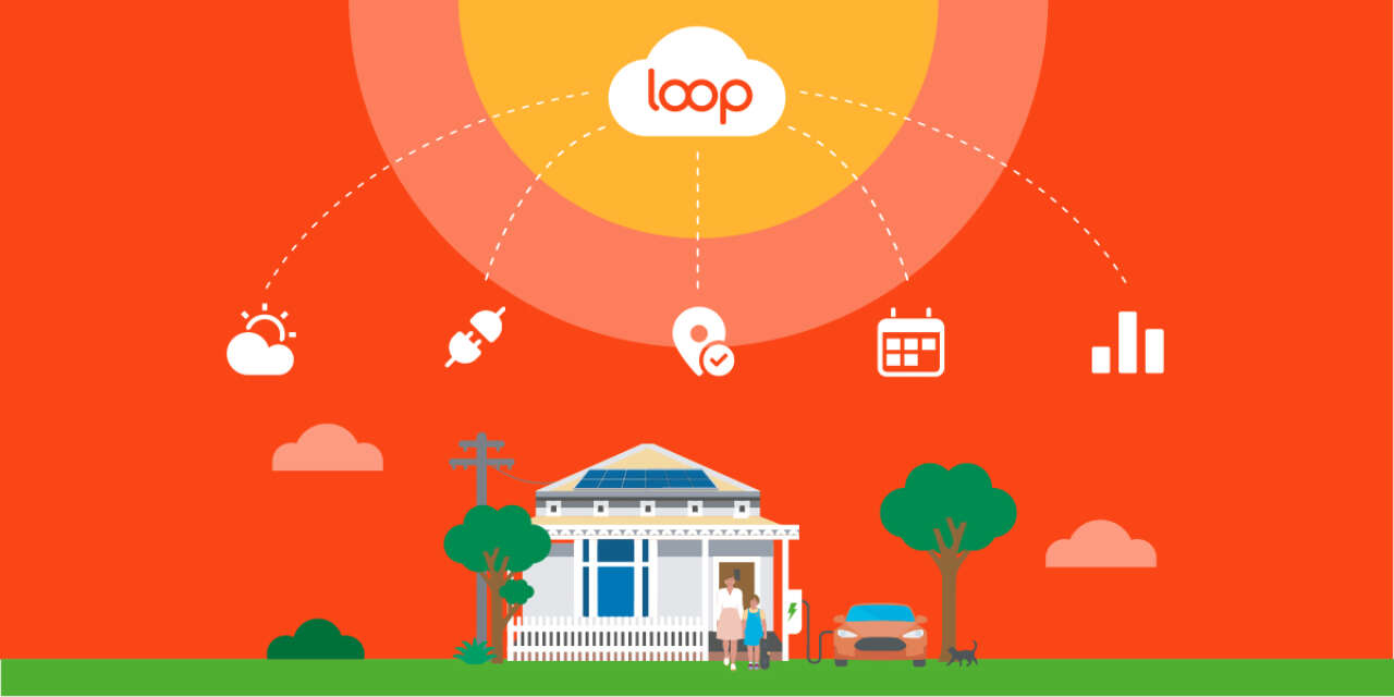 Origin Loop VPP